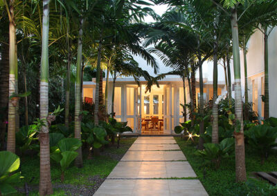 Palms lining walkway