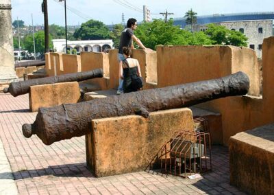 Cannons Colonial Zone